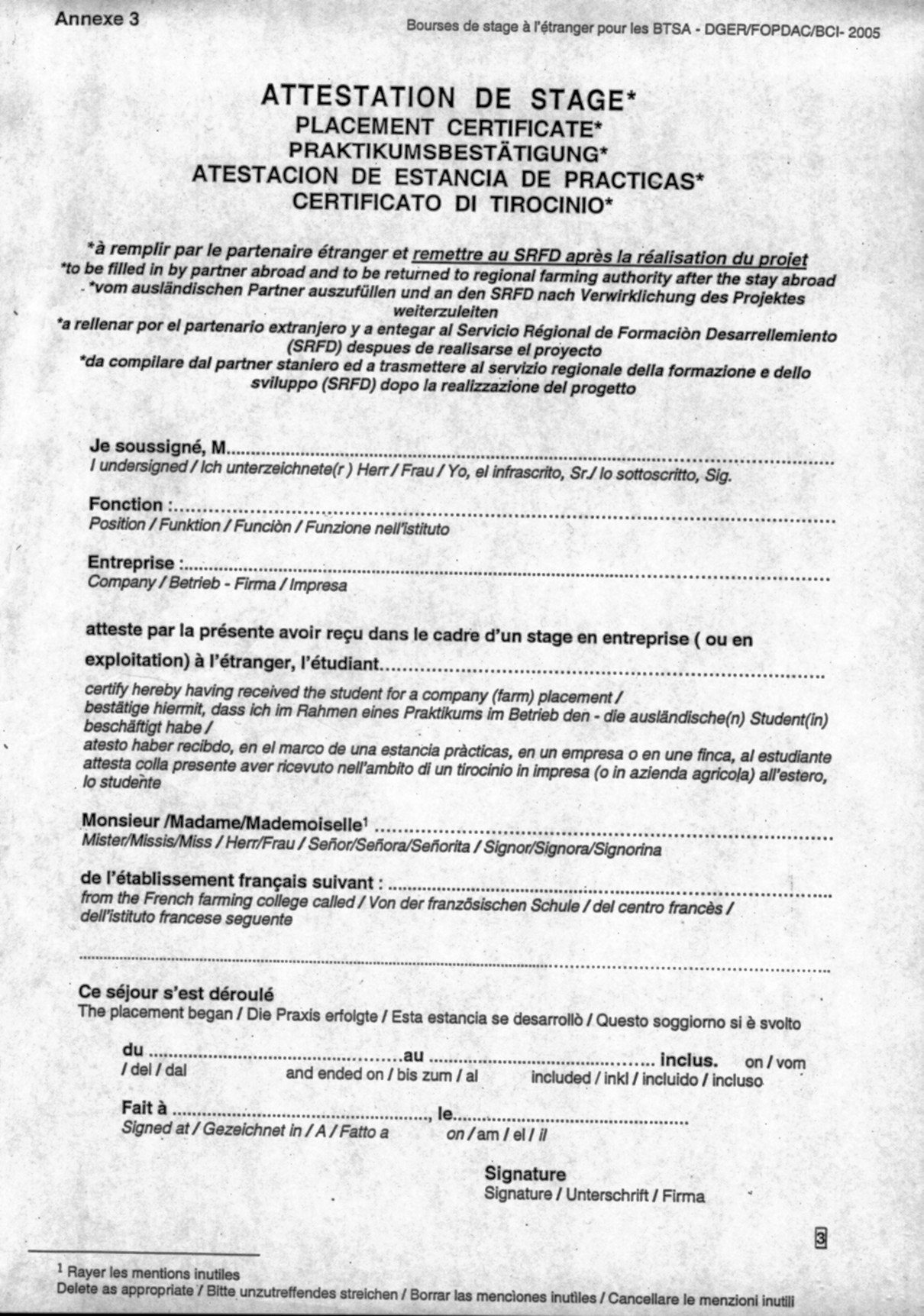 Rapport de stage bac stav