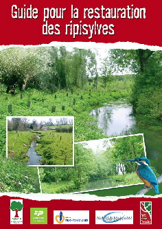 guide gestion ripisylve