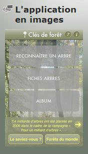cl&eacute;s de for&ecirc;t