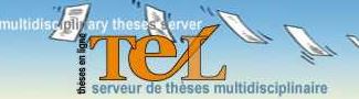 Serveur Thèses